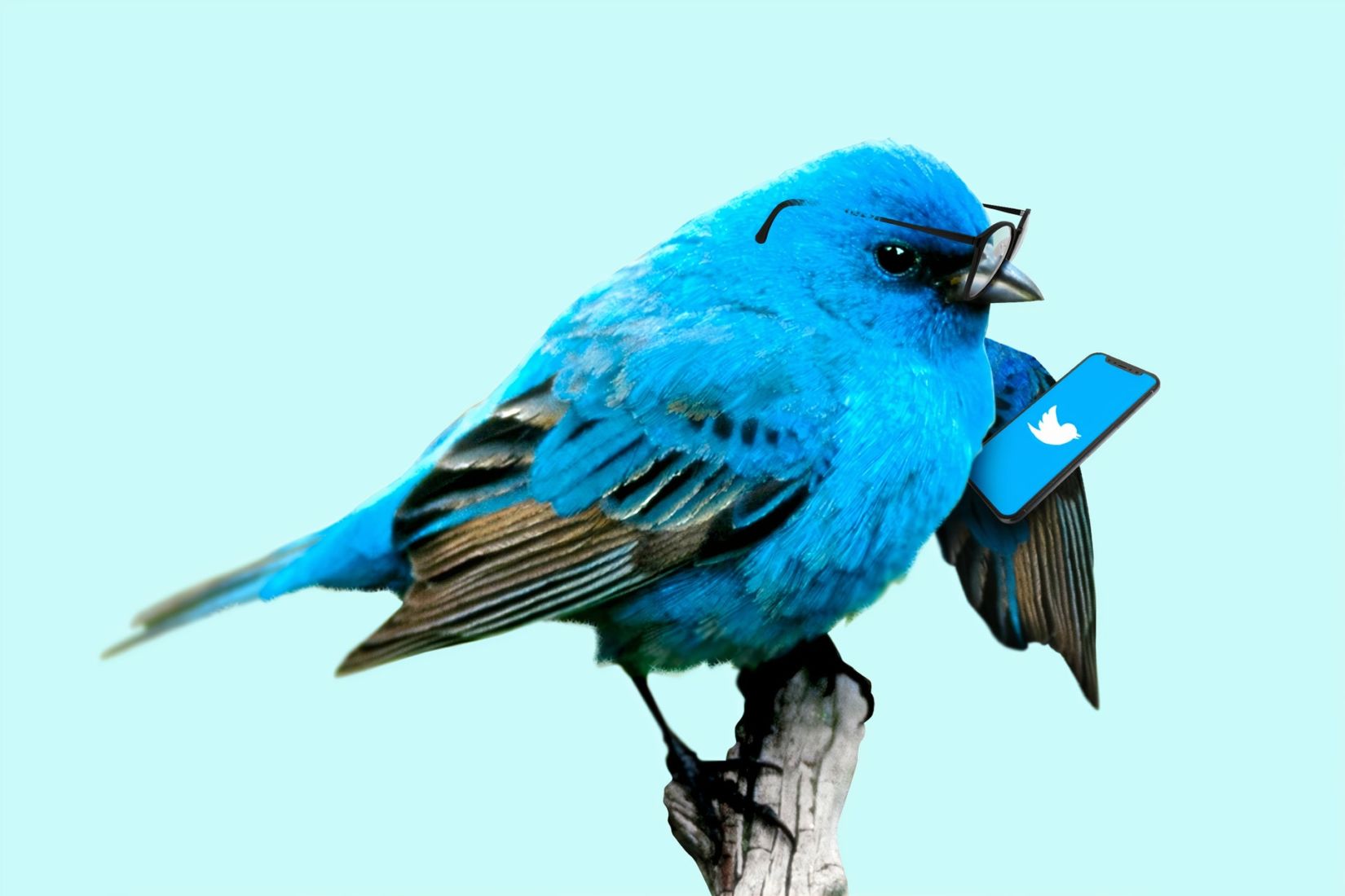 Twitter แบน Donald Trump Jr. 12 ชั่วโมง หลังโพสต์ข้อมูลเท็จโควิด-19 | Tadoo