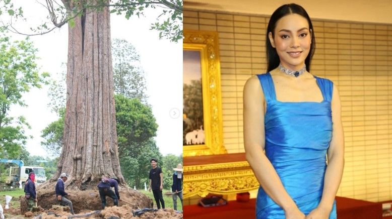 ตั๊ก บงกช ทำบุญใหญ่ ซื้อต้นกระบก กว่า 4 แสน ถวายศูนย์วิปัสสนา | Tadoo