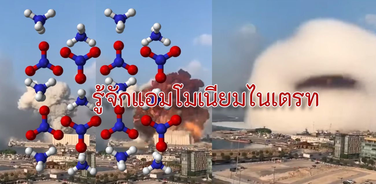 อ่านเลย แอมโมเนียมไนเตรตคืออะไร ใช้ทำปุ๋ย แต่ระเบิดได้! | Tadoo