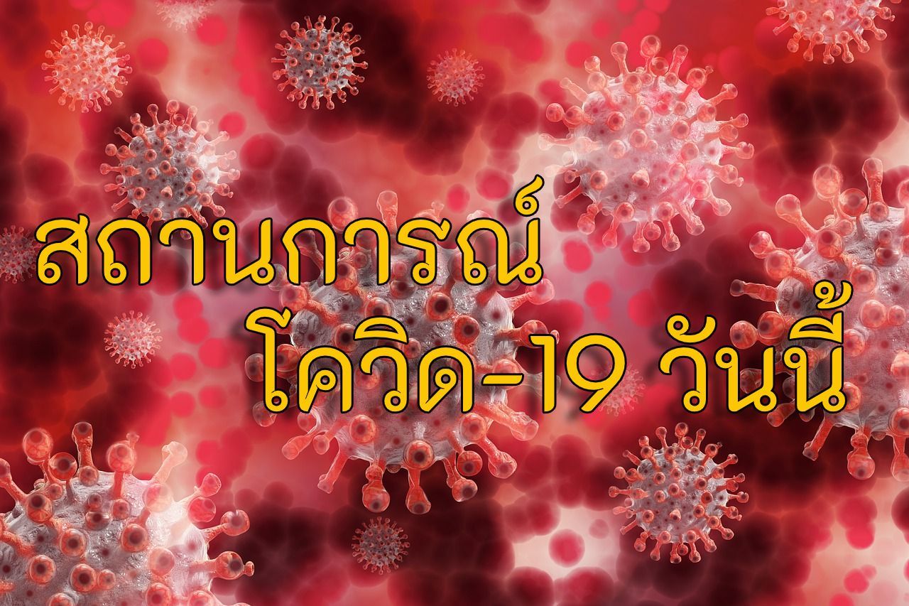 โควิด 19 วันนี้ 28 ต.ค. 63 ไทยพบติดเชื้อเพิ่ม 13 รายในสถานกักตัว | Tadoo